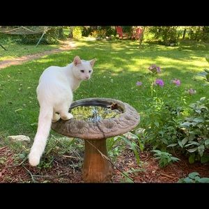 Meet your Posher, Ben